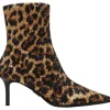 Steve Madden - Heirloom - Bruin