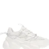 Steve Madden - Spectator Sneakers - Wit