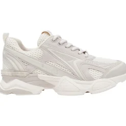 Steve Madden - Speedster-E - Grijs